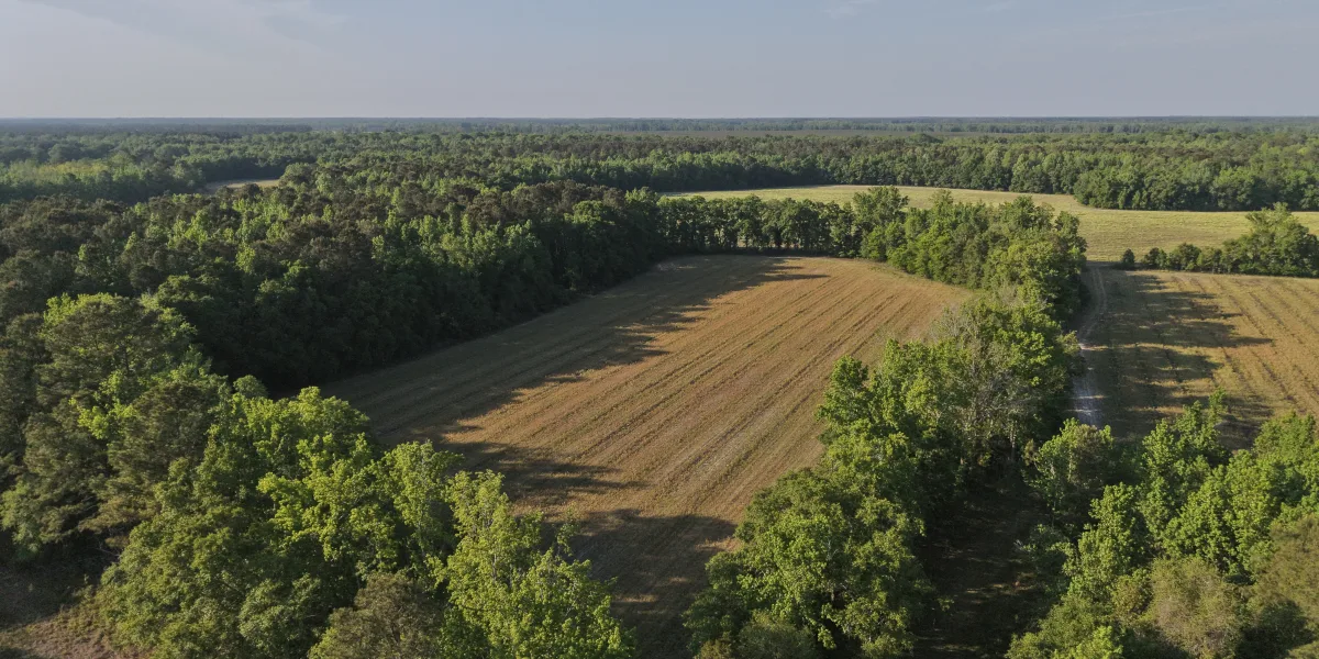 Caw Caw Farm — Hampton County, South Carolina