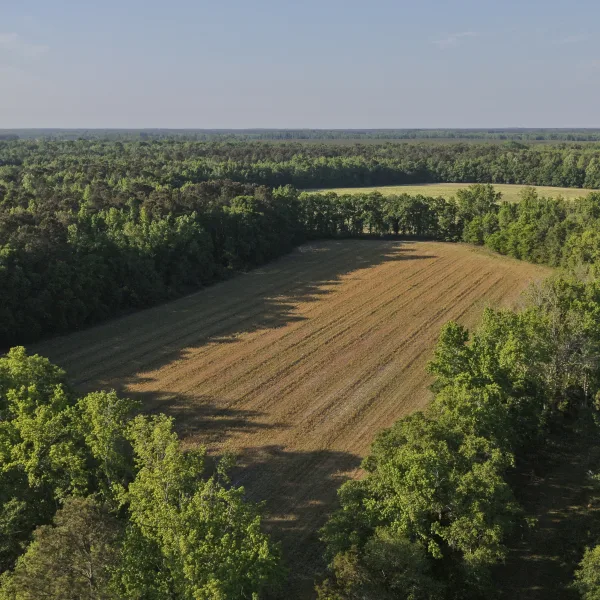 Caw Caw Farm — Hampton County, South Carolina