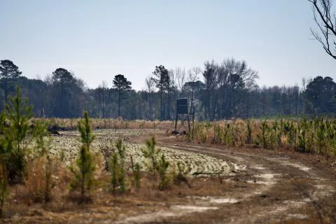 Independence Farm — Florence County, South Carolina