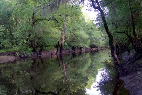 Pringle Tract — Dorchester County, South Carolina