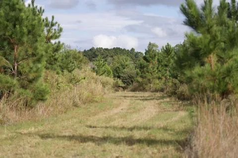 Heyward Tract — Bryan County, Georgia