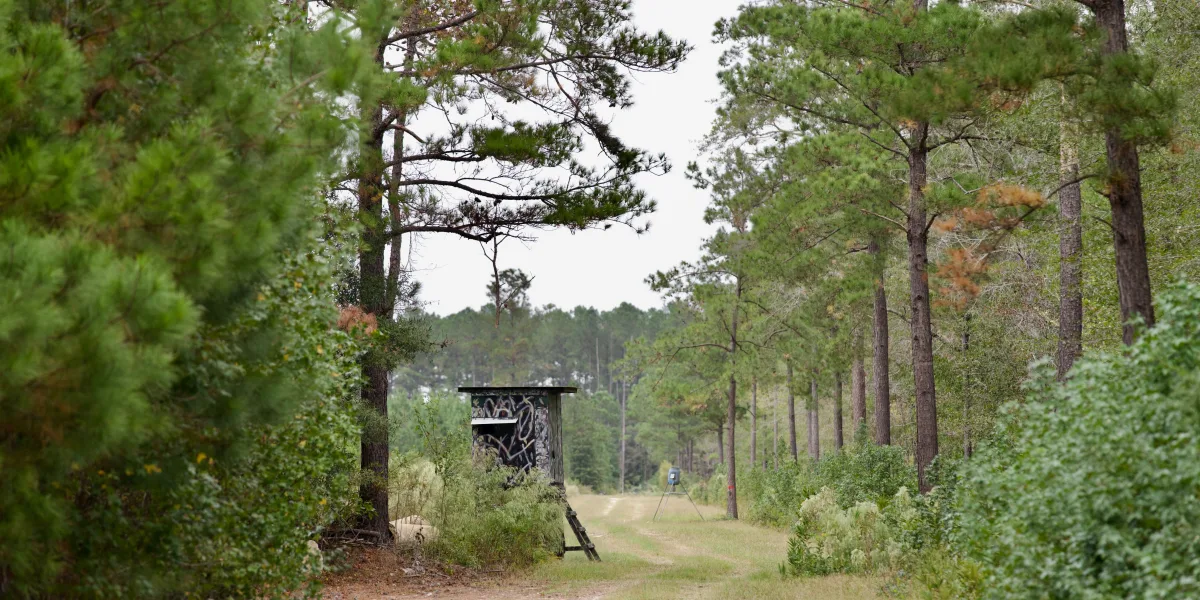 Greeley Plantation — Clarendon County, South Carolina