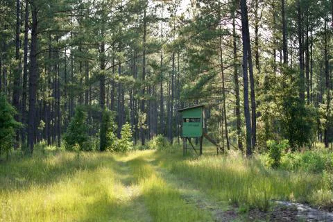 Rice Patch Farm — Colleton County, South Carolina