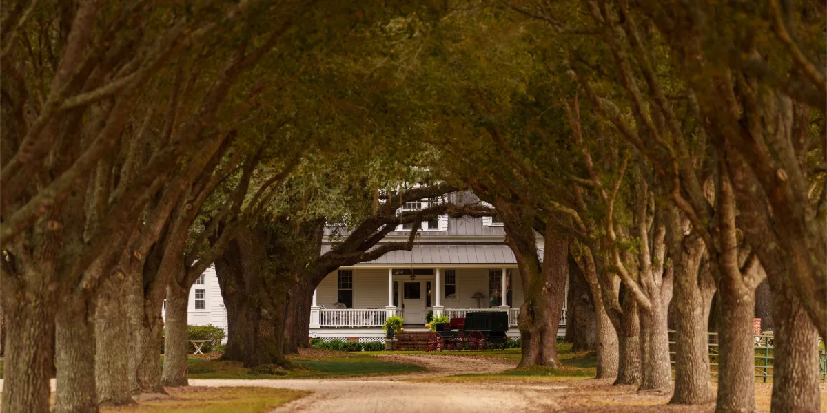 Woodside Plantation — Hampton County, South Carolina