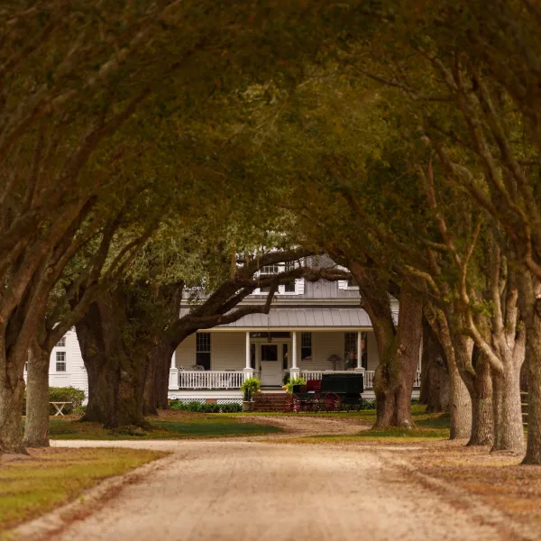 Woodside Plantation — Hampton County, South Carolina