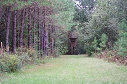 Seaboard Plantation — Williamsburg County, South Carolina
