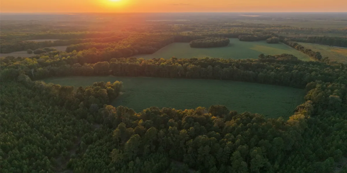 Crocketville Farms — Hampton County, South Carolina