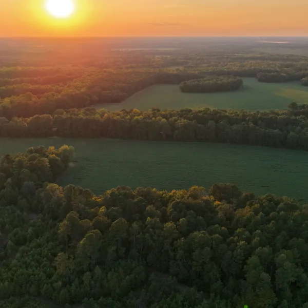 Crocketville Farms — Hampton County, South Carolina