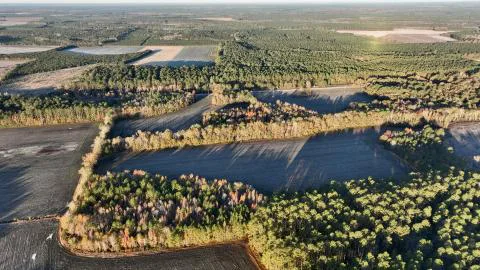 Billy Johnson Tract — Hampton County, South Carolina