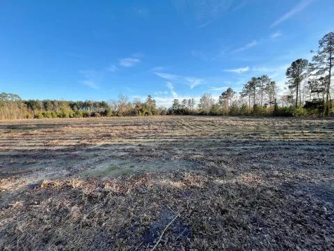 Pondtown Acres — Hampton County, South Carolina