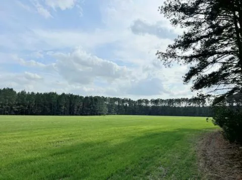 Blackburn Tract — Hampton County, South Carolina