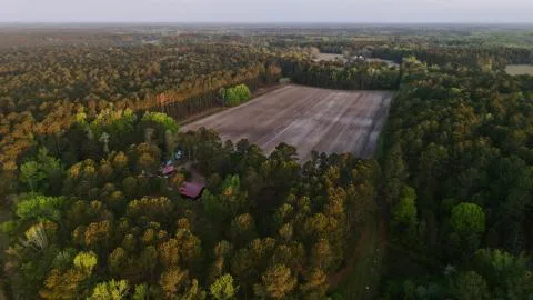 Cattle Creek Farms — Orangeburg County, South Carolina