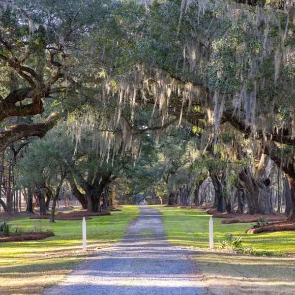 Richmond Plantation — Berkeley County, South Carolina