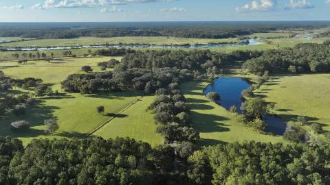 Longwood Plantation — Berkeley County, South Carolina