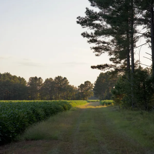 Crocketville Farms — photo 2