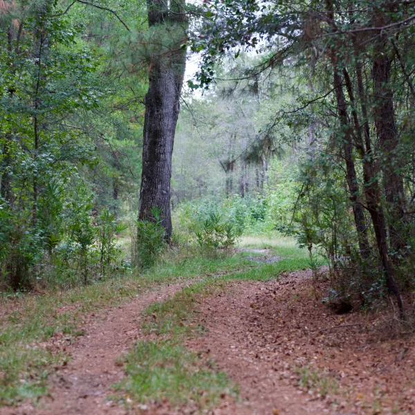 Greeley Plantation — photo 3