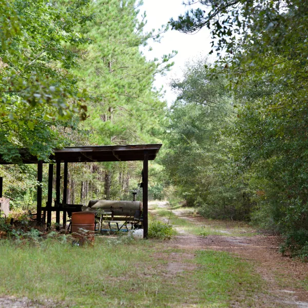 Bates Tree Farm — photo 3