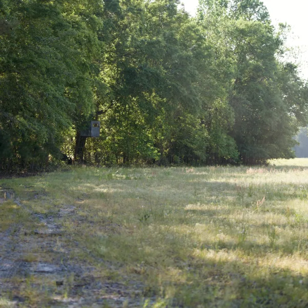Caw Caw Farm — photo 3
