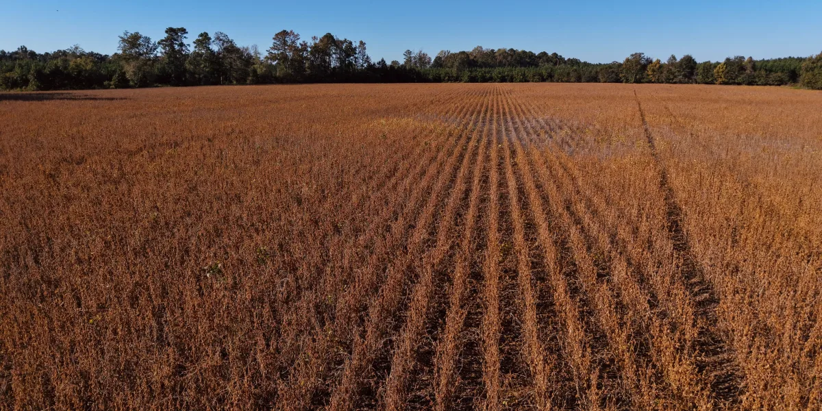 Hobcaw Indiantown — Williamsburg County, South Carolina