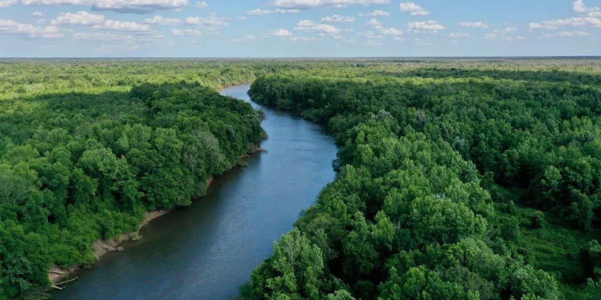 Santee River Tract — Berkeley County, South Carolina