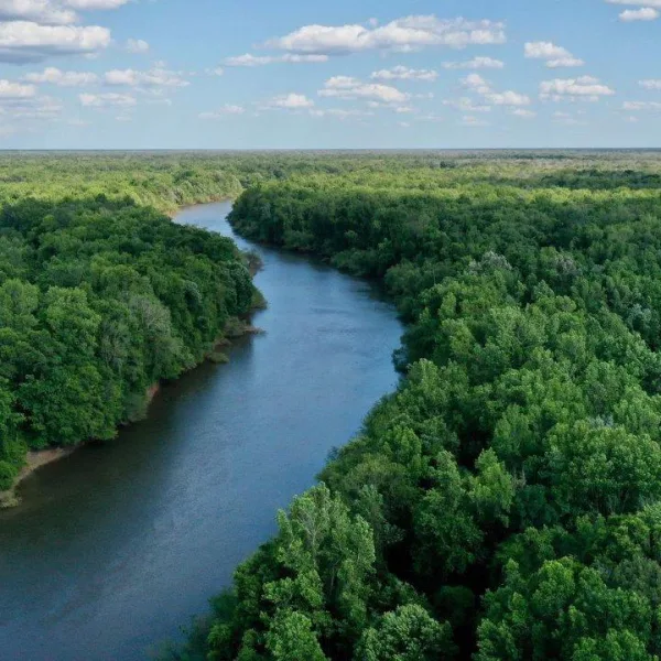 Santee River Tract — Berkeley County, South Carolina