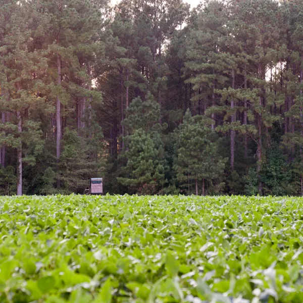 Crocketville Farms — photo 5