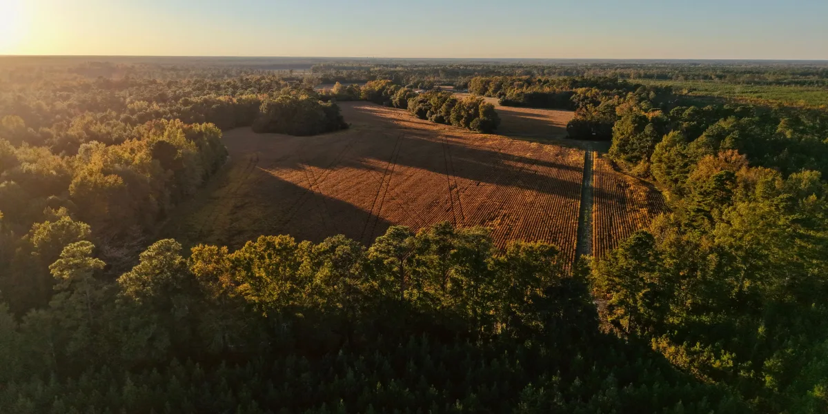 Hobcaw Indiantown — Williamsburg County, South Carolina