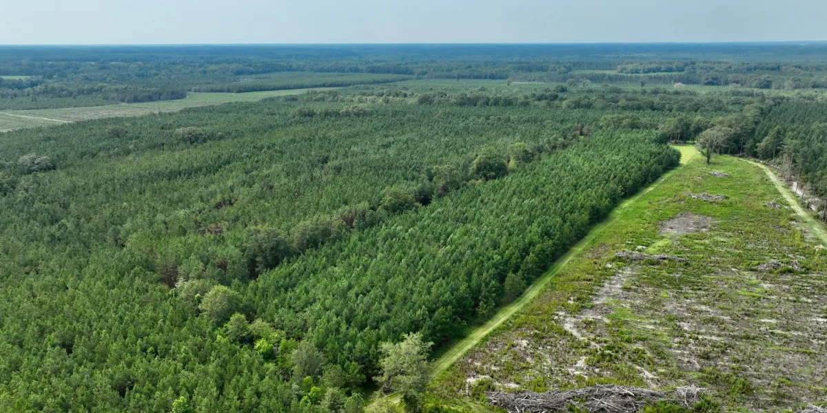 Buck Road Farm — Barnwell County, South Carolina