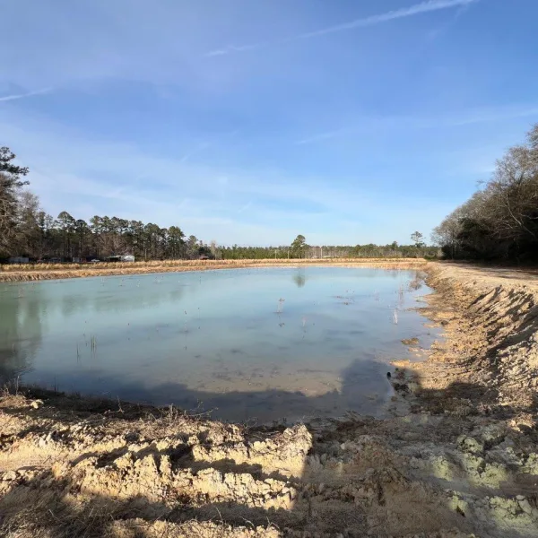 Little Haven Farm — Hampton County, South Carolina