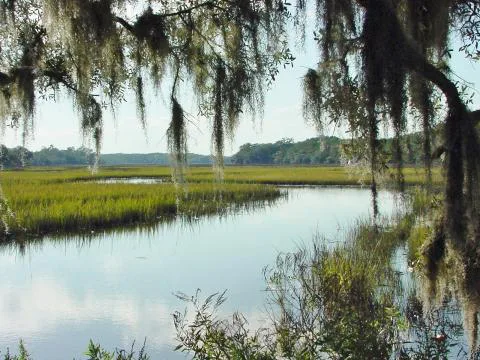 Bindon Plantation — Beaufort County, South Carolina