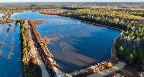 Blackwater Auxiliary Duck Pond — Summerton County, South Carolina