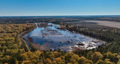 Clarendon Club Impoundment — Clarendon County, South Carolina