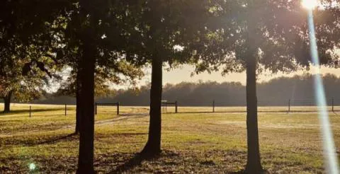Curview Farms — Jefferson County, Georgia