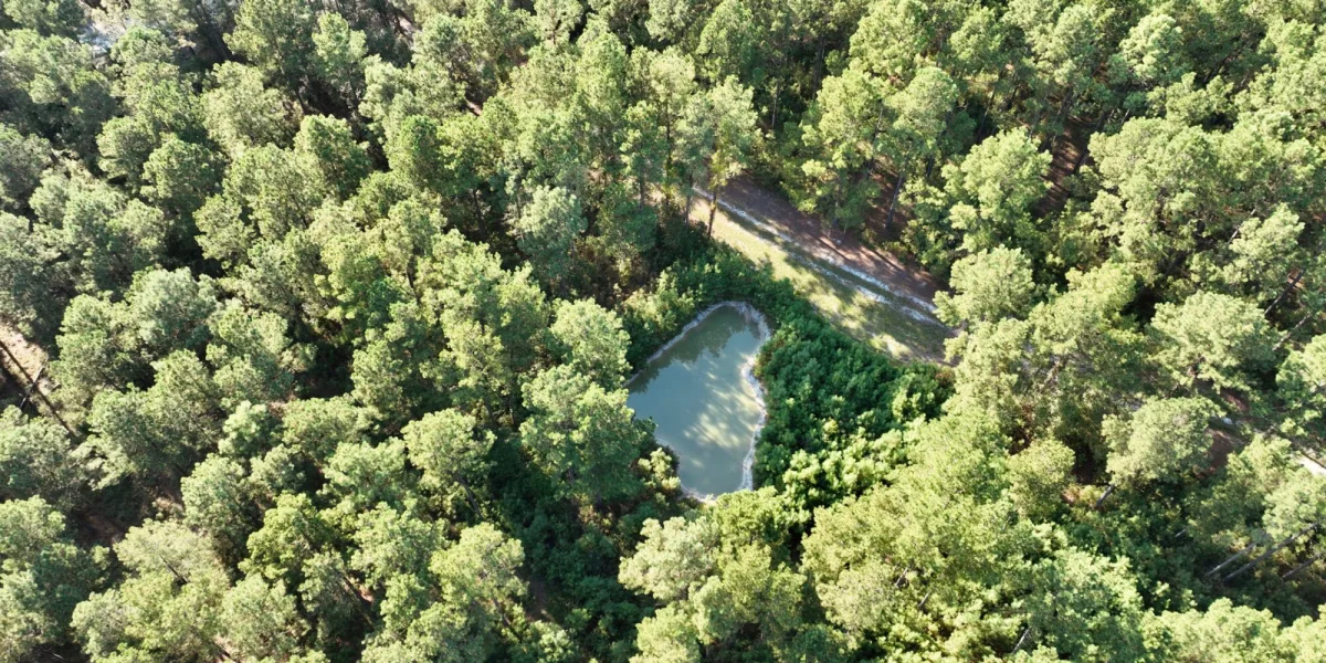Sandy Run Farm — Hampton County, South Carolina