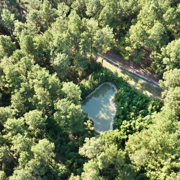 Sandy Run Farm — Hampton County, South Carolina