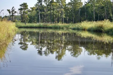 Turkey Creek Resort — Georgetown County, South Carolina