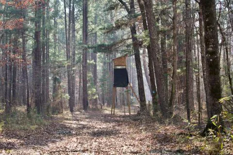 Sigo Tract — Hampton County, South Carolina