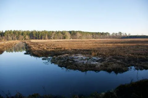 Slater Duck Ponds — Jasper County, South Carolina