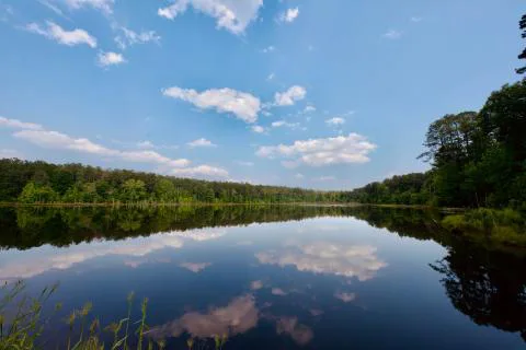 Goldmine Plantation — Kershaw County, South Carolina
