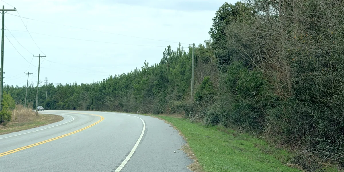Crocketville 70 Acres — Hampton County, South Carolina