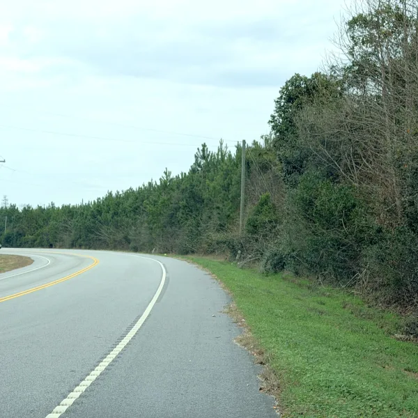 Crocketville 70 Acres — Hampton County, South Carolina