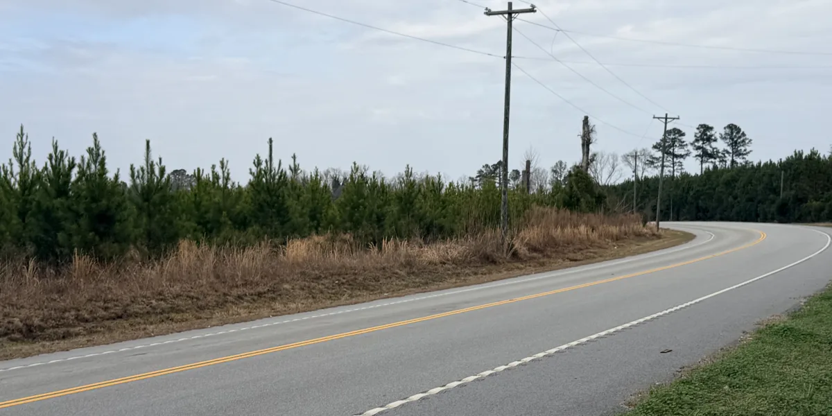 Crocketville 47 Acres — Hampton County, South Carolina