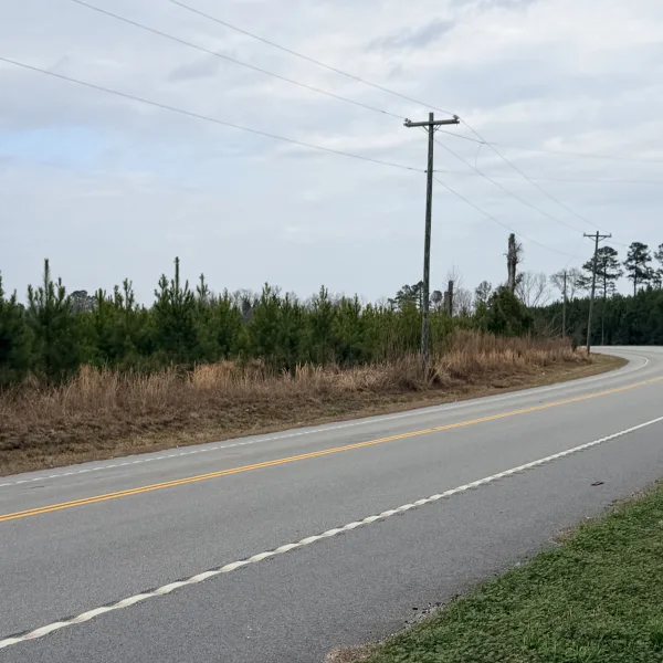 Crocketville 47 Acres — Hampton County, South Carolina