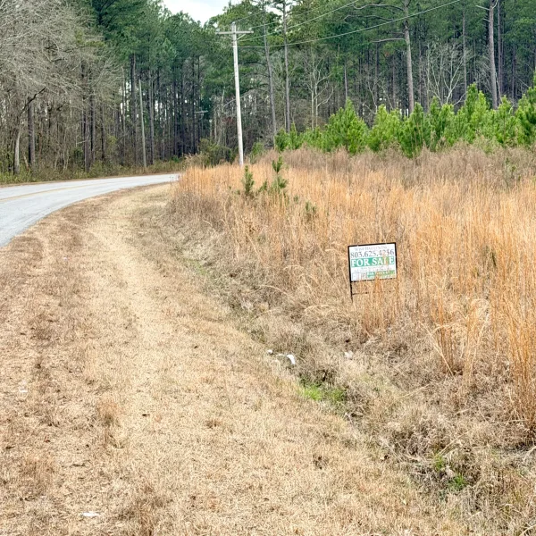 Crocketville 18 Acres — Hampton County, South Carolina