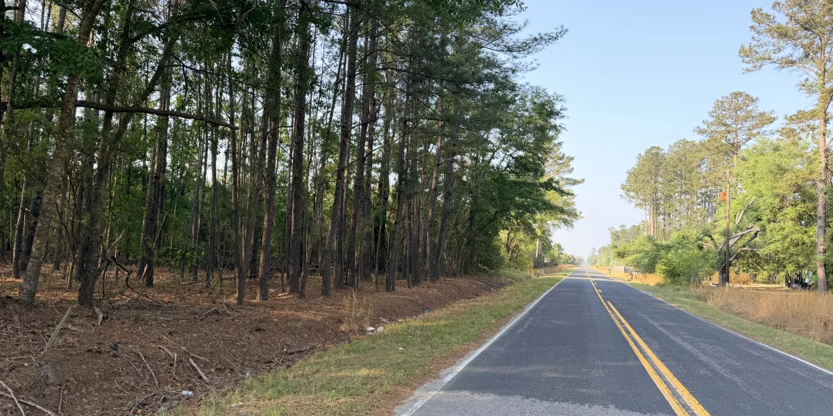 Jasmin Hollow — Jasper County, South Carolina