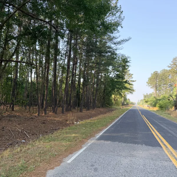 Jasmin Hollow — Jasper County, South Carolina