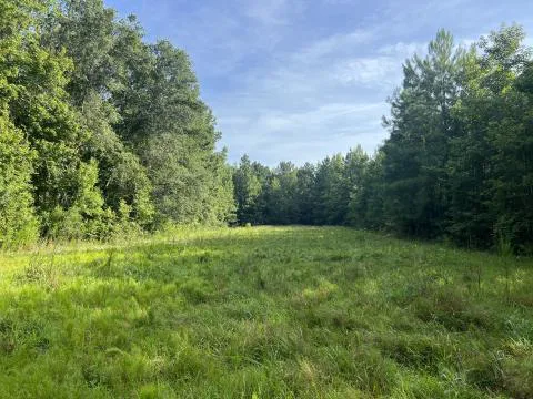 Garnett Tract — Hampton County, South Carolina