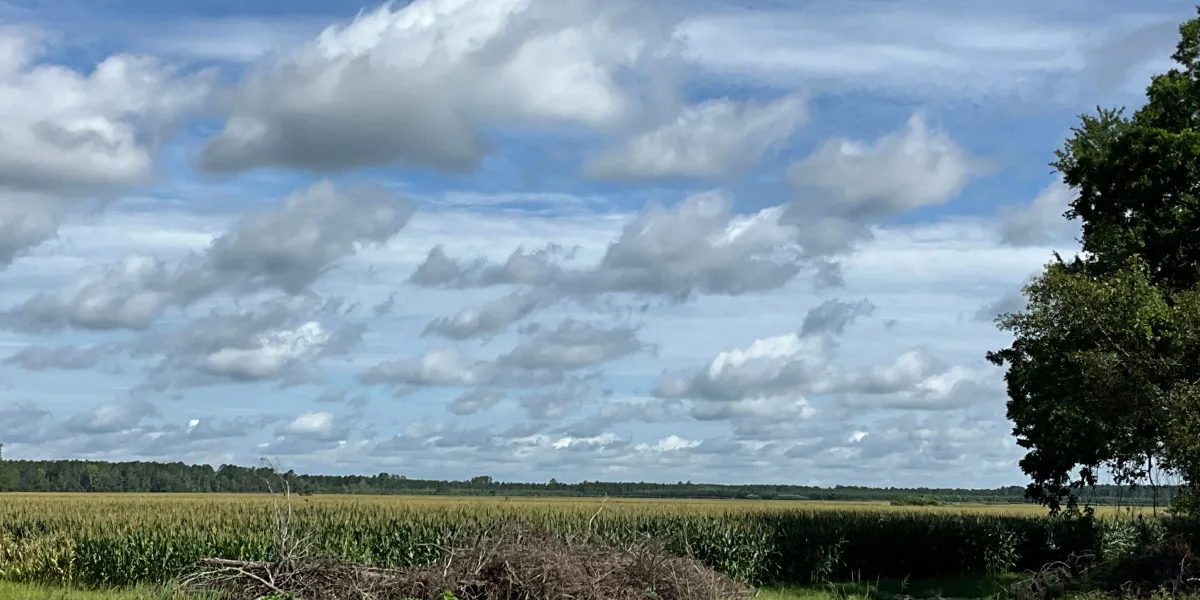 Longpoint Farm — Hampton County, South Carolina