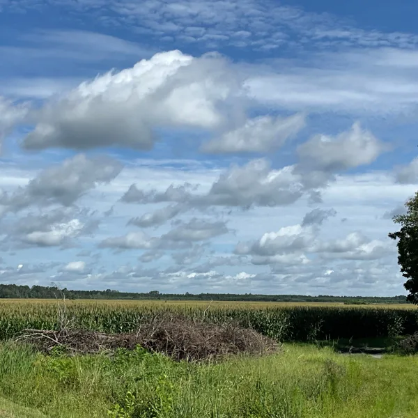 Longpoint Farm — Hampton County, South Carolina