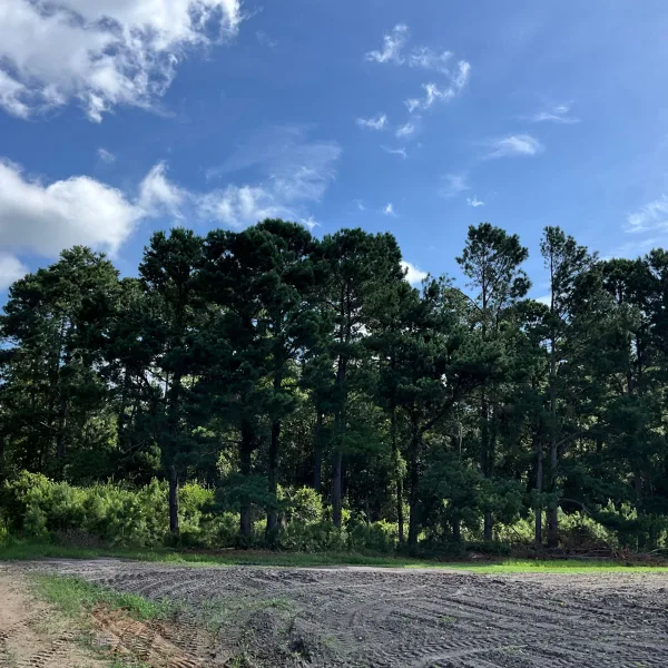 Longpoint Farm — photo 4